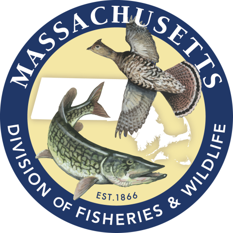 Massachusetts Division of Fisheries and Wildlife